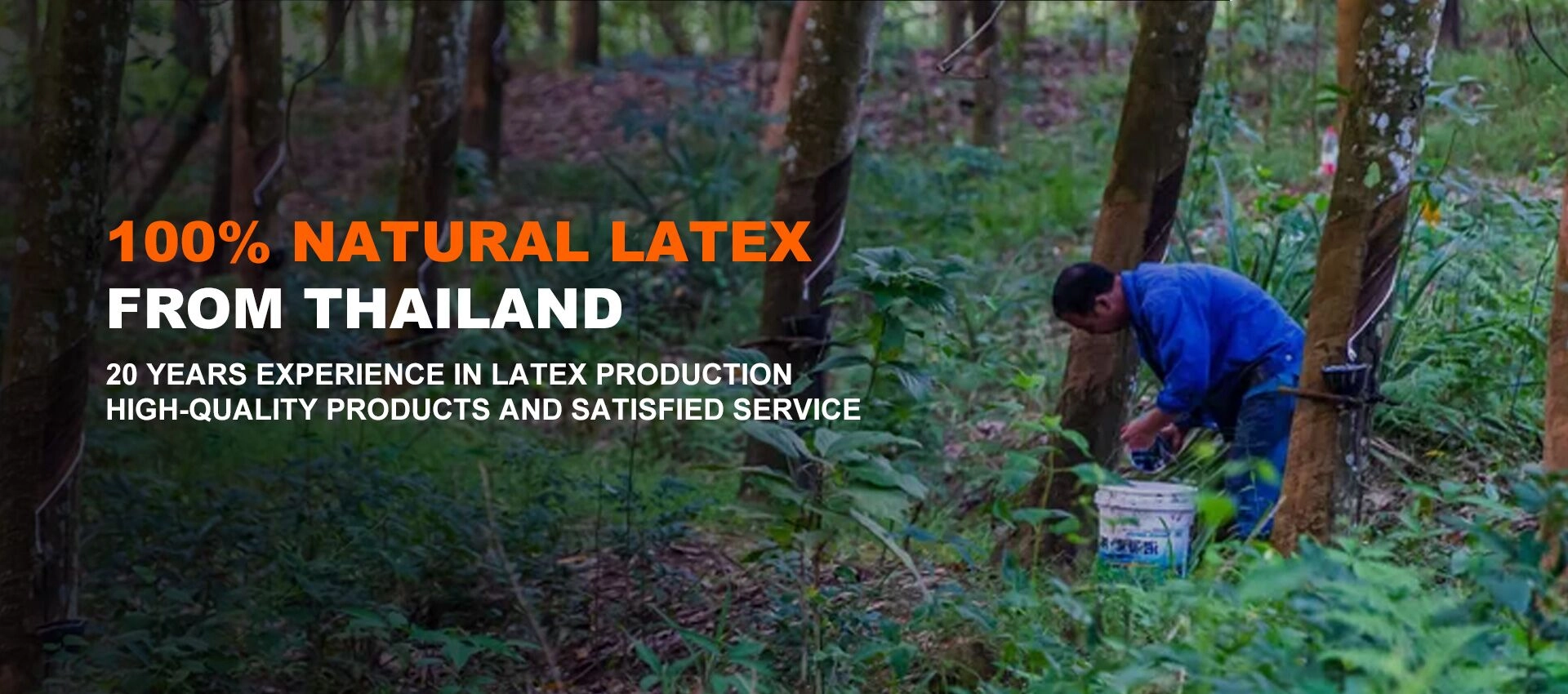 Таълим LATEX HATEX